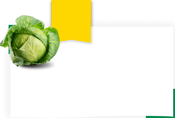 Рентабельность капусты 0.007 руб. за каждый килограмм прибавки